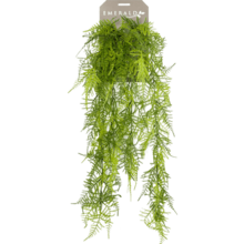 Asparagus Plumosus kunstplant