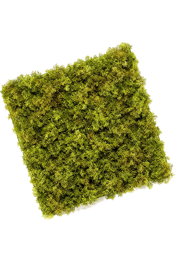 Iceland Moss kunstplant 50cm x 50cm