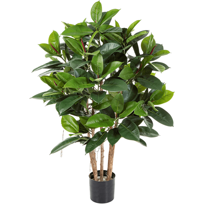 Ficus Elastica kunstplant