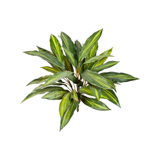 Dracaena kunstplant