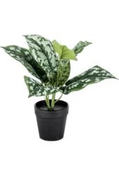 Scindapsus Pictus kunstplant