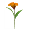 Celosia kunstplant