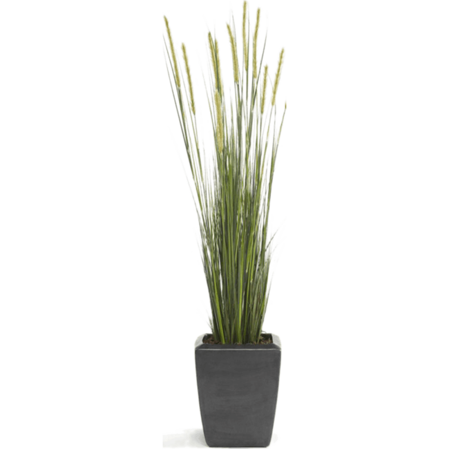 Grass Foxtail kunstplant