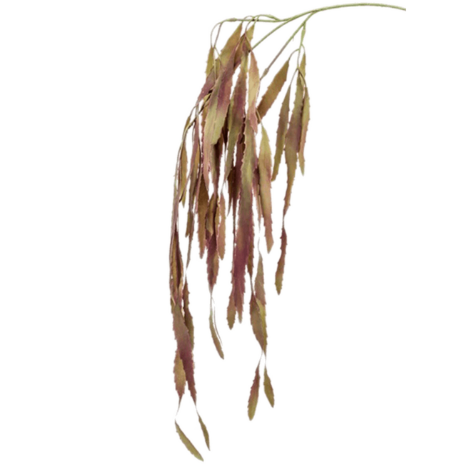 Rhipsalis kunstplant