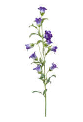 Campanula kunstplant