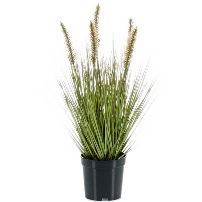 Grass Pennisetum kunstplant
