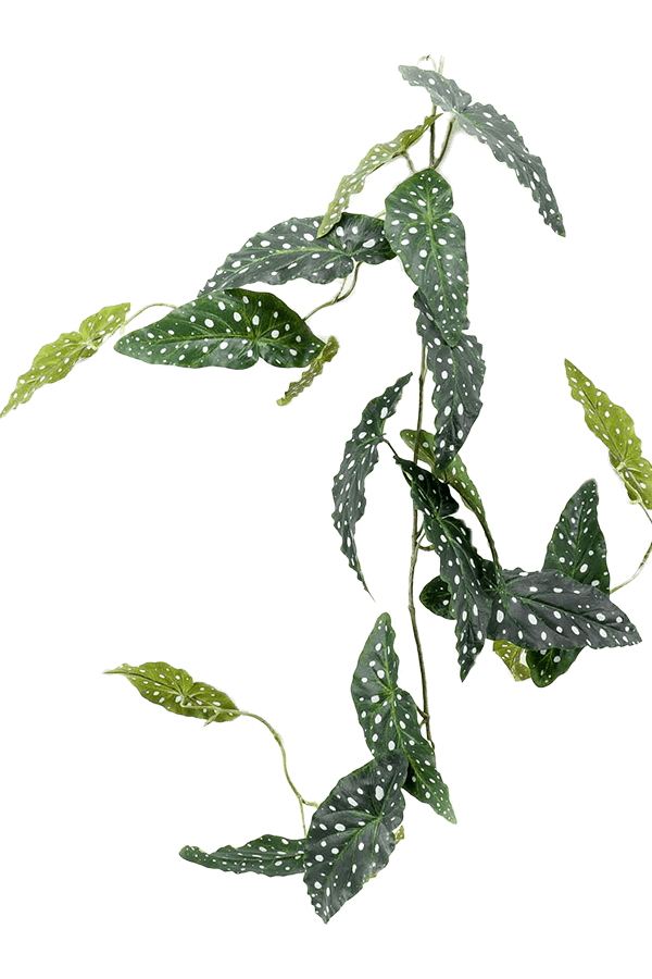 Begonia Maculata kunstplant