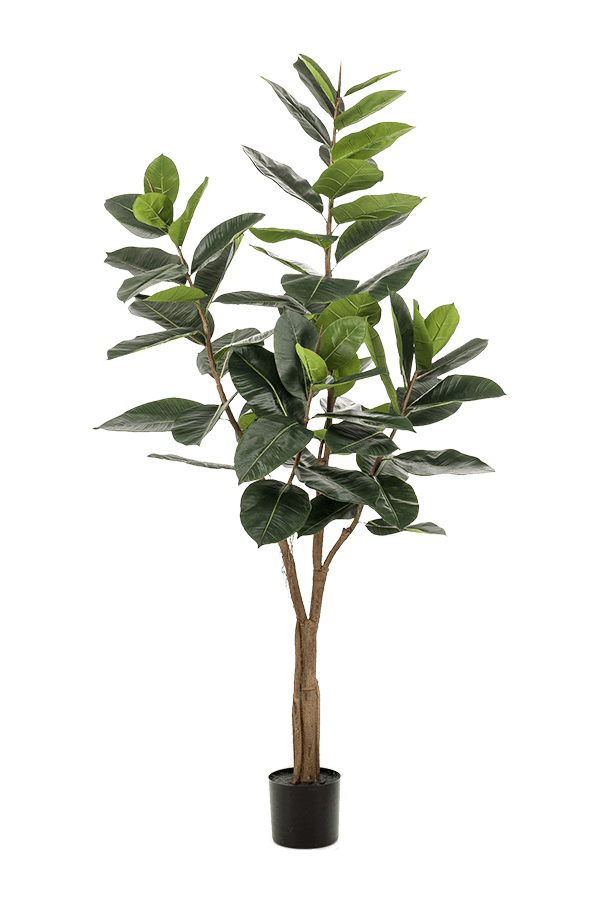 Ficus Elastica kunstplant