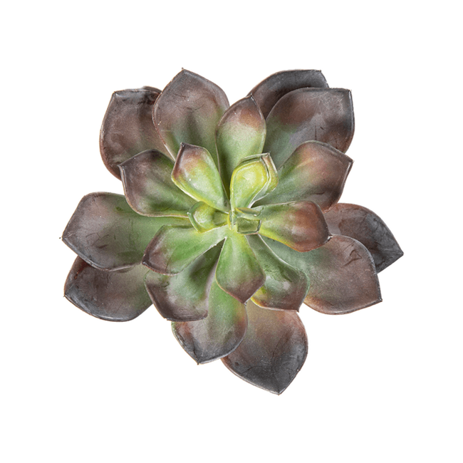 Echeveria kunstplant