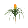 Bromelia Vriesia kunstplant