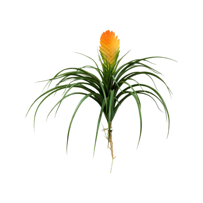 Bromelia Vriesia kunstplant