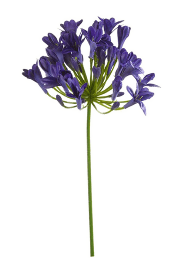Agapanthus kunstplant