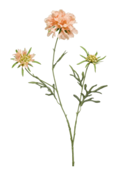 Scabiosa kunstplant