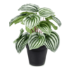 Peperomia kunstplant