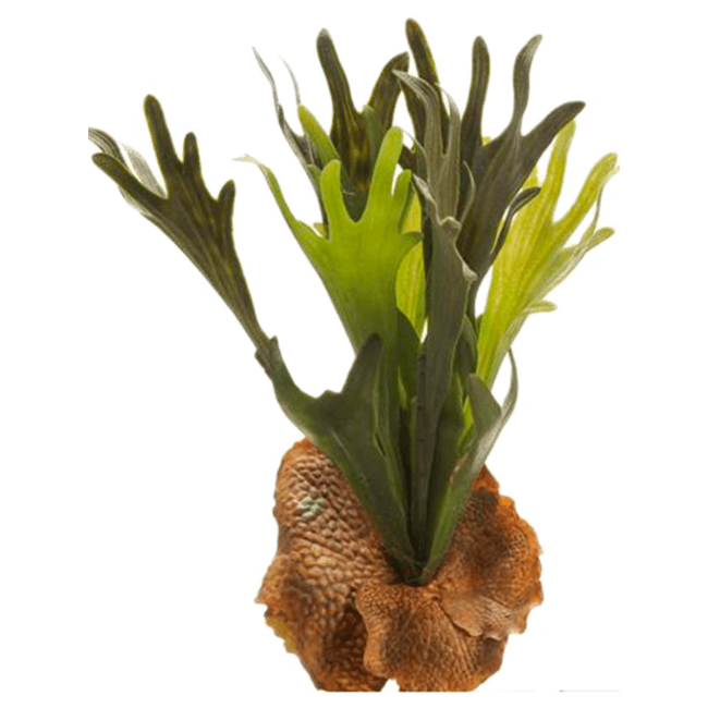 Fern Staghorn kunstplant