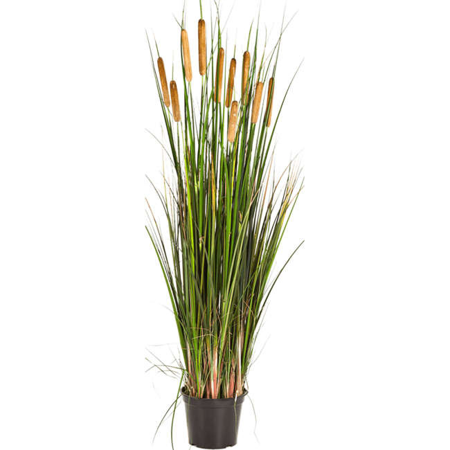 Grass Cattail kunstplant