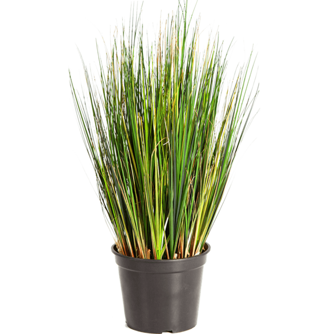 Grass Foxtail kunstplant