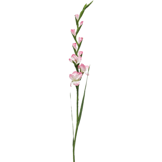 Gladiolus kunstplant