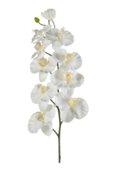 Phalaenopsis kunstplant