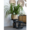 Bohemian Nala M Bamboo