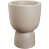 Alocasia Zebrina M in Pure® Coupe Balanced Beige