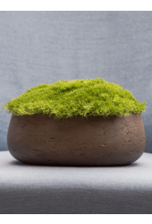 Rough Eileen L Chocolate