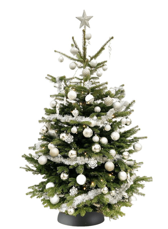 Afslachten Tapijt idee Kerstboom versierd zilver DIY - Fleurdirect