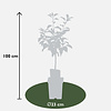 BIO Appelboom Malus Jonagold