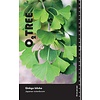 Japanse Notenboom Ginkgo biloba C20 Hoogstam 6/8