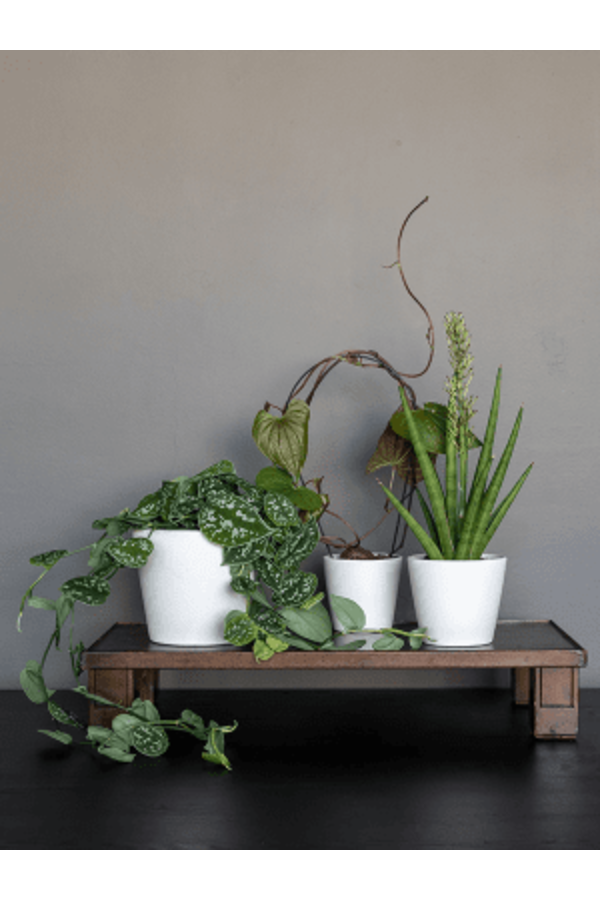 Ceramic Inez XS Vanilla White