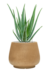 Baq Riva Darcy Brown Beige