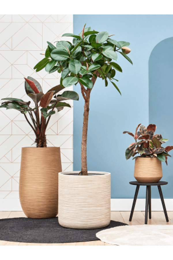 Baq Dune Cylinder Beige