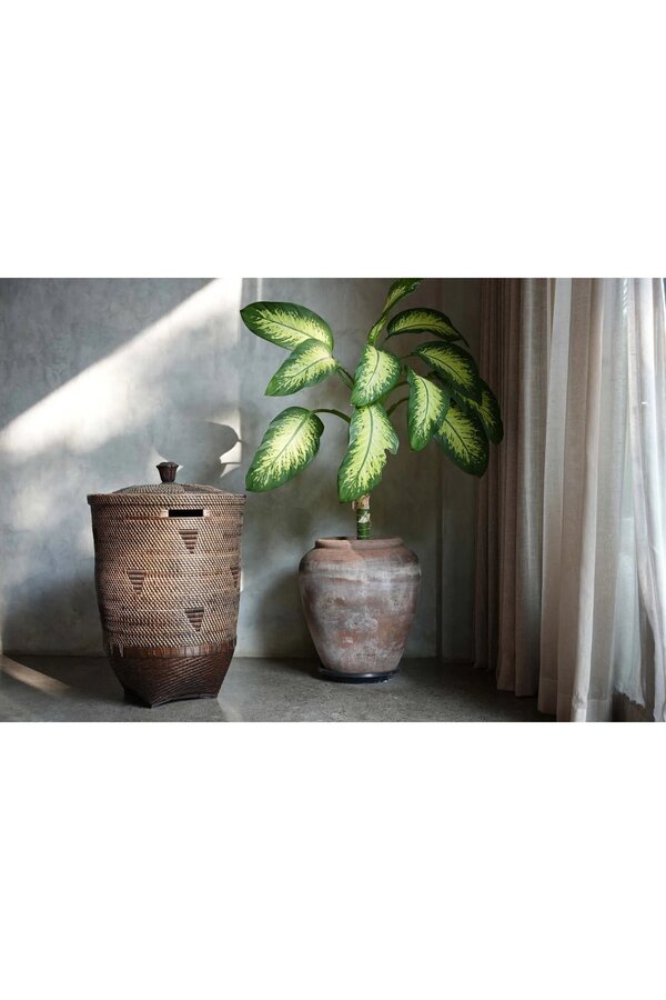 The Colonial Wasmand - Naturel Bruin - XL