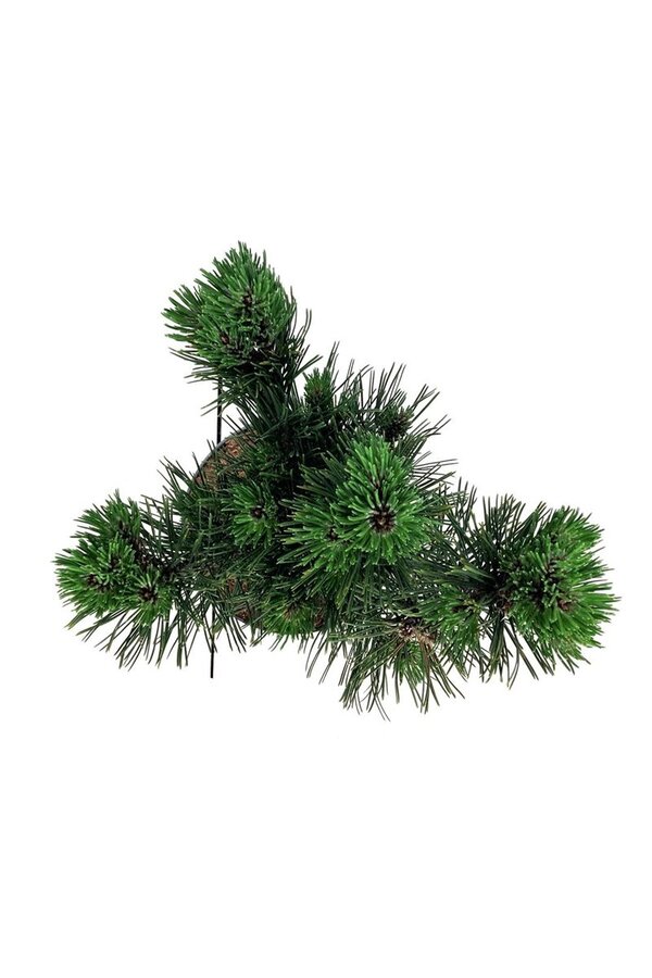 Denneboom Pinus Satellit