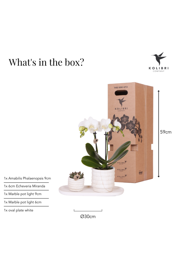 Plantenset Slow Living small