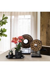 Orchidee plantenset Home Hub small