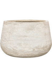 Baq Algar Darcy White