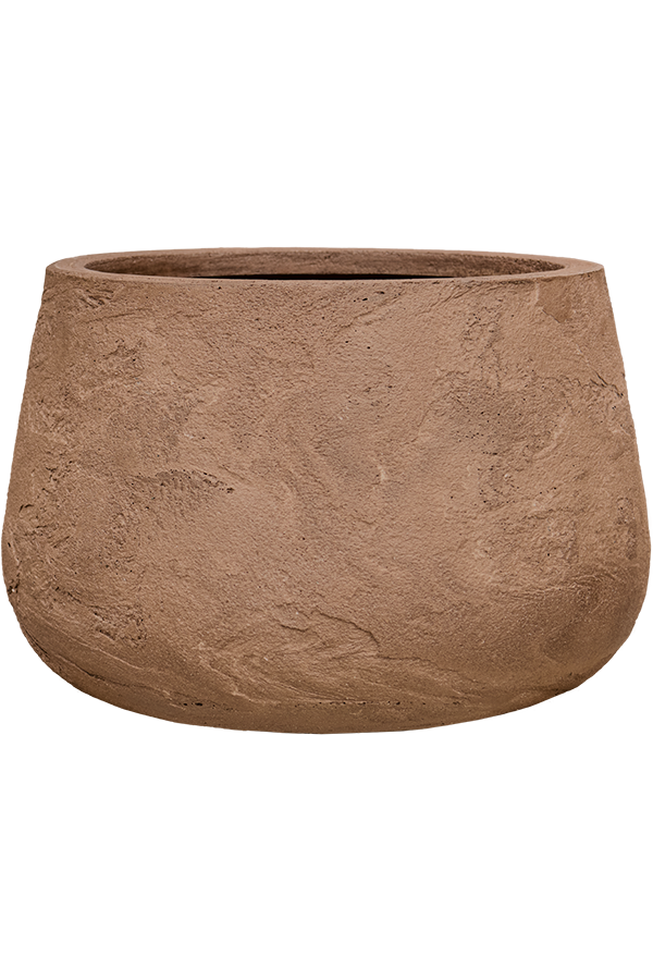 Baq Algar Darcy Brown