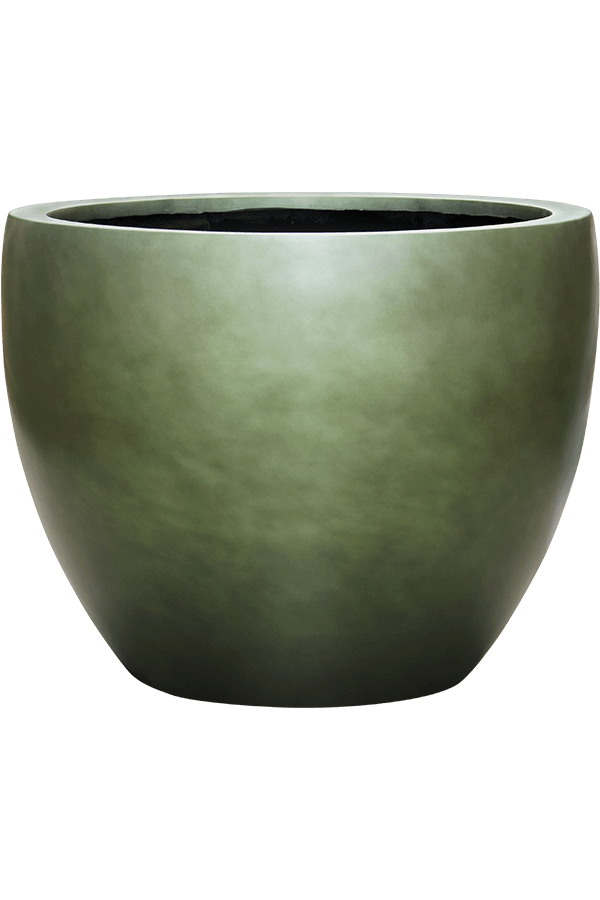 Baq Gradient Couple Matt Forest Green