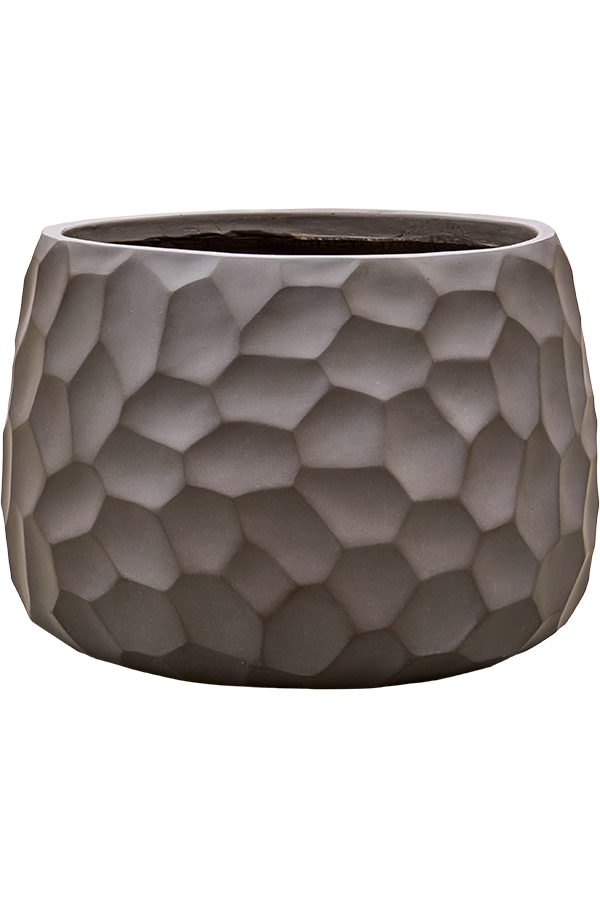 Baq Tortuga Darcy Chocolate Brown