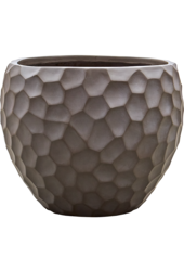 Baq Tortuga Couple Chocolate Brown