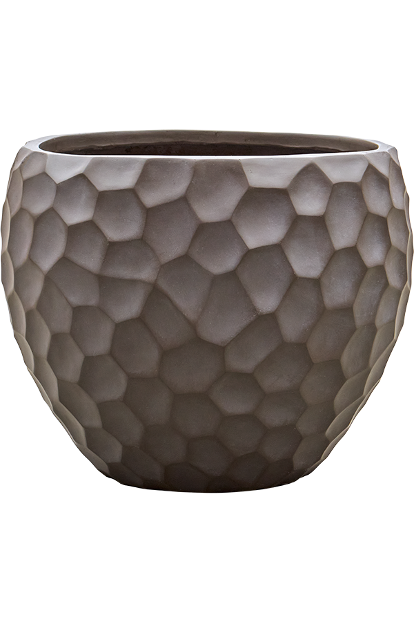 Baq Tortuga Couple Chocolate Brown