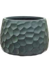 Baq Tortuga Darcy Forest Green