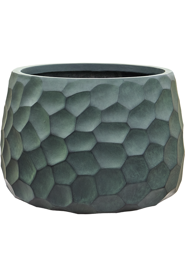 Baq Tortuga Darcy Forest Green