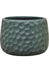 Baq Tortuga Darcy Forest Green