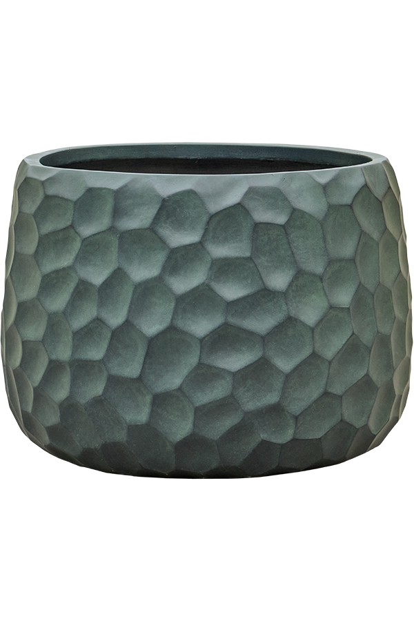 Baq Tortuga Darcy Forest Green