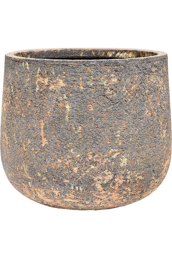 Baq Atlas Darcy Brown