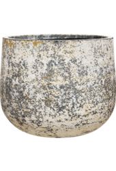 Baq Atlas Darcy White