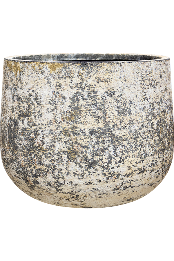 Baq Atlas Darcy White