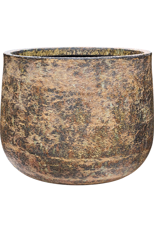 Baq Atlas Darcy Brown